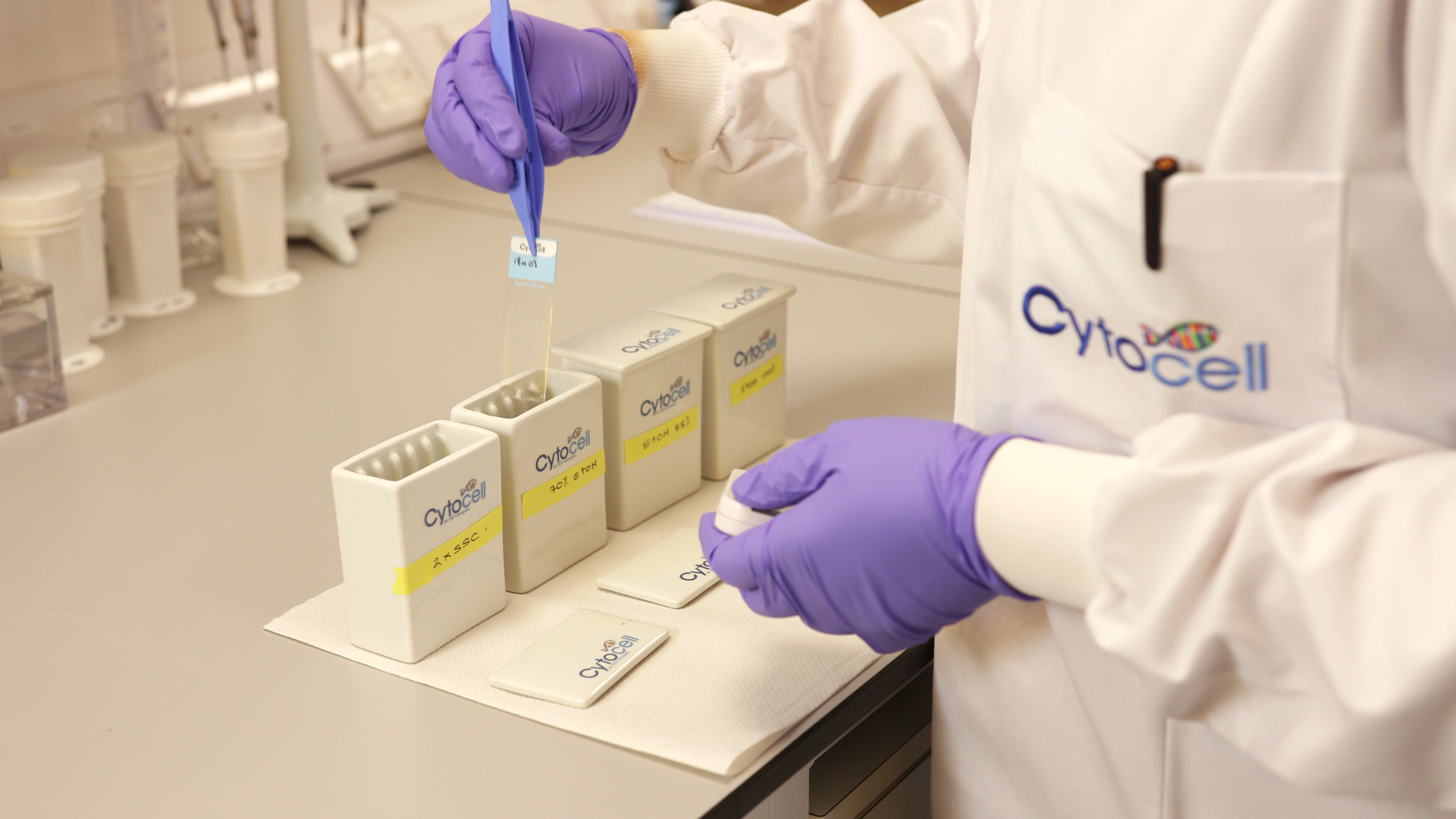 Sample and slide preparation Image
