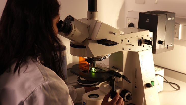 CytoCell solid tumour FFPE FISH protocol - Counterstain and analysis (2 minutes) Image