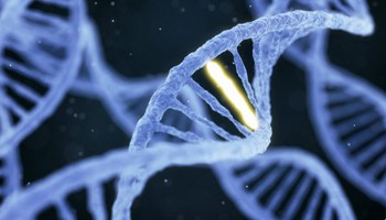 Hybridisation